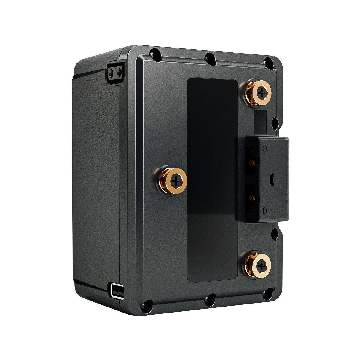 Dionic XT 150 Gold Mount
