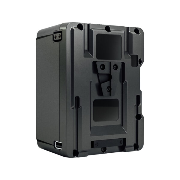 Dionic XT 150 V-Mount - back